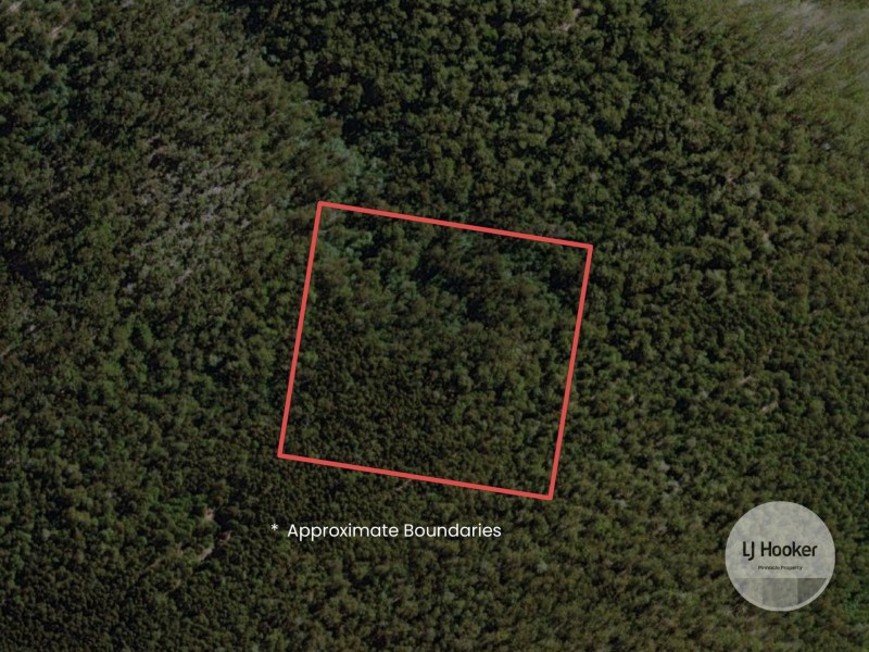 (PID: 5803 Mount Charles Road, Lachlan TAS 7140