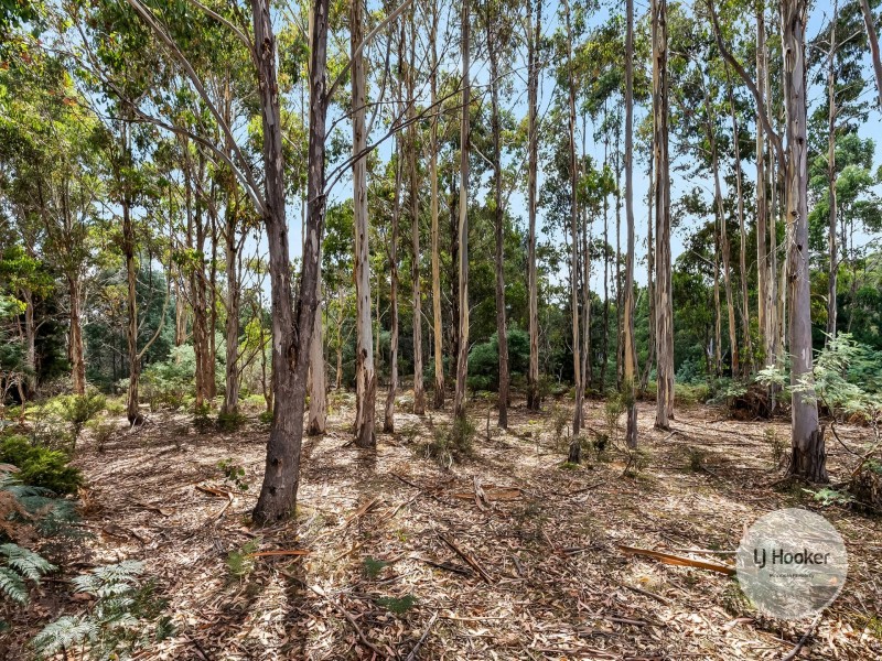 (PID: 2733 Whites Road, Uxbridge TAS 7140