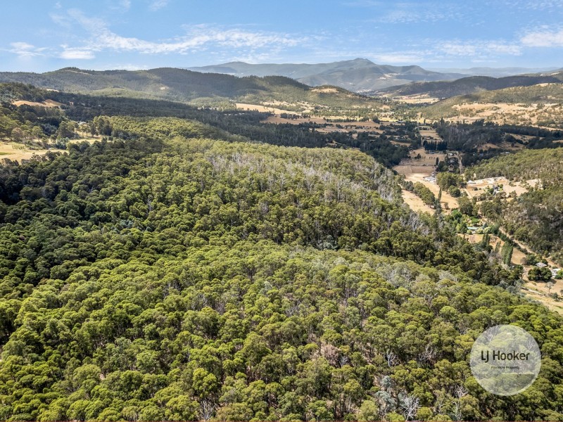 (PID: 5804 White Timber Road, Lachlan TAS 7140