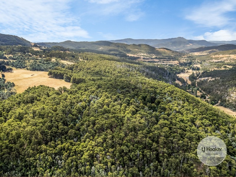 (PID: 5804 White Timber Road, Lachlan TAS 7140