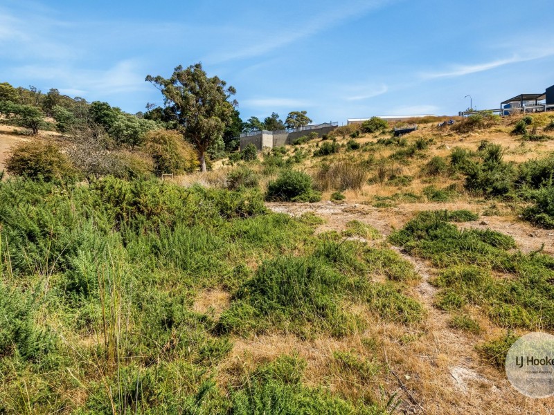 20 Ancanthe Avenue, Lenah Valley TAS 7008