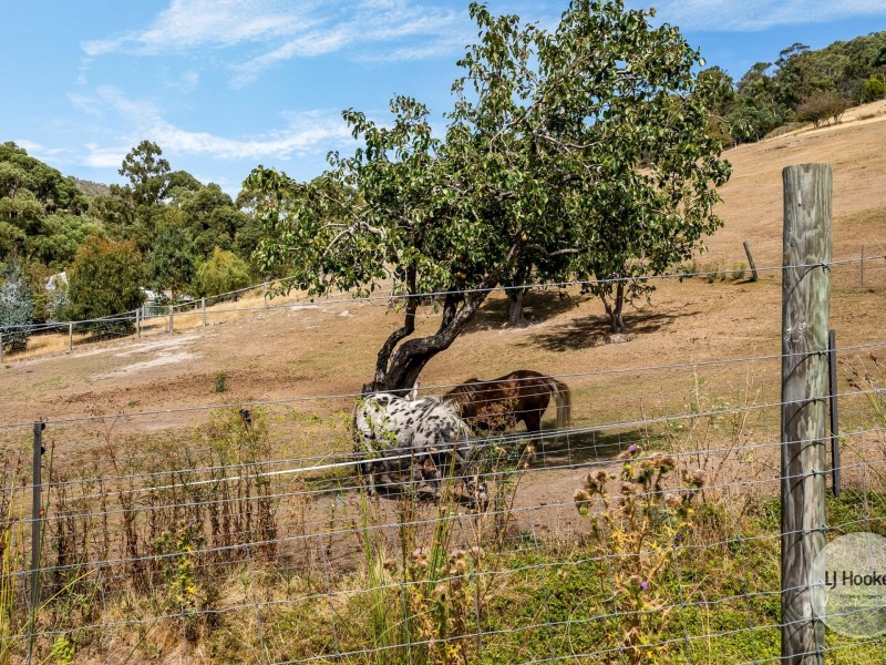 20 Ancanthe Avenue, Lenah Valley TAS 7008