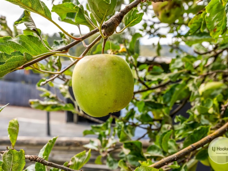 39 Southview Crescent, New Norfolk TAS 7140