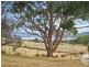 60 Jennings Road, Abels Bay TAS 7112