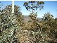 39 Tongatabu Road, Dromedary TAS 7030