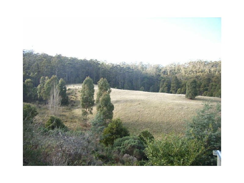 1610 Woodsdale Road, Levendale TAS 7120