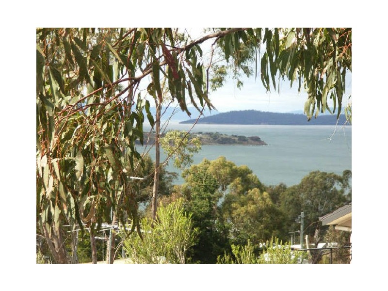 9 Wedgetail Street, Primrose Sands TAS 7173