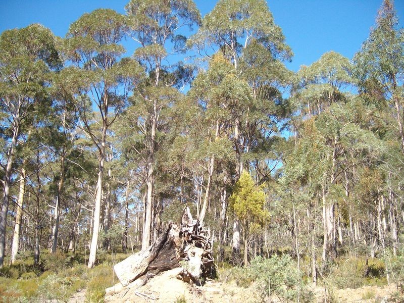 795 East Bagdad Road, Bagdad TAS 7030