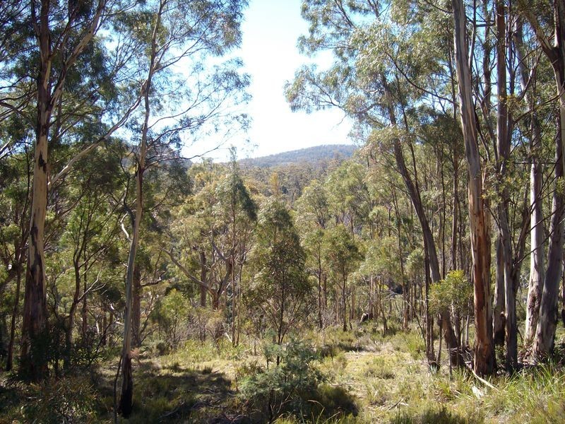 795 East Bagdad Road, Bagdad TAS 7030