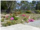 1176 Nugent Road, Wattle Hill TAS 7172