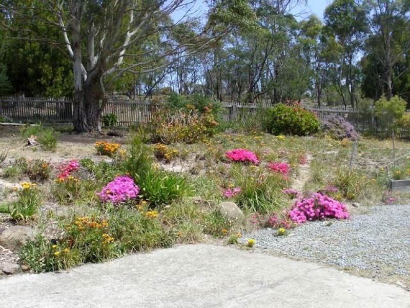 1176 Nugent Road, Wattle Hill TAS 7172