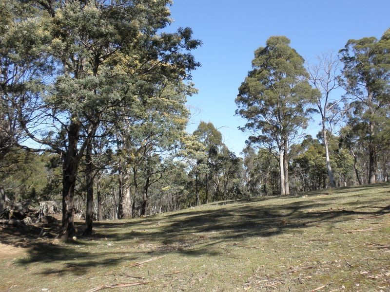 1176 Nugent Road, Wattle Hill TAS 7172