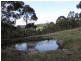 1176 Nugent Road, Wattle Hill TAS 7172