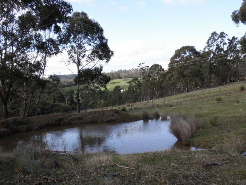 1176 Nugent Road, Wattle Hill TAS 7172
