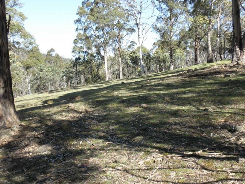 1176 Nugent Road, Wattle Hill TAS 7172