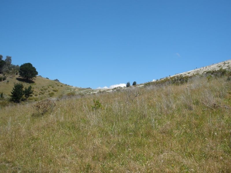 93 Marys Hope Road, Rosetta TAS 7010