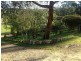 148 Lower Swamp Road, Lachlan TAS 7140