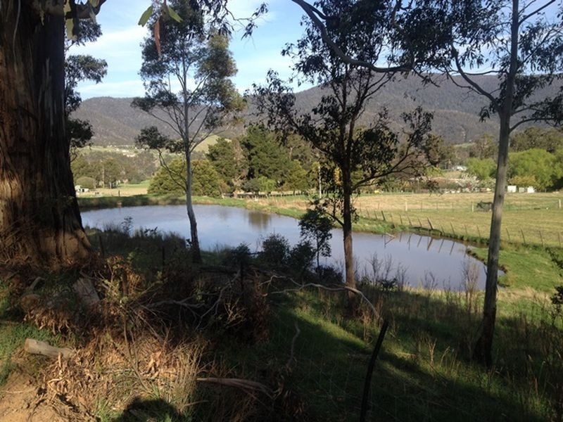 148 Lower Swamp Road, Lachlan TAS 7140