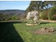Molesworth TAS 7140