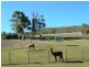 96-98 Millvale Road, Dromedary TAS 7030