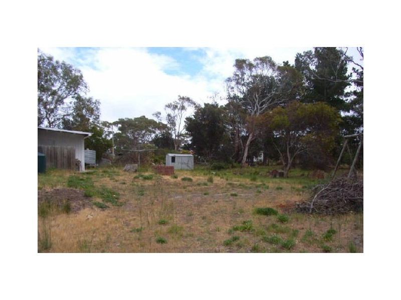 Carlton TAS 7173