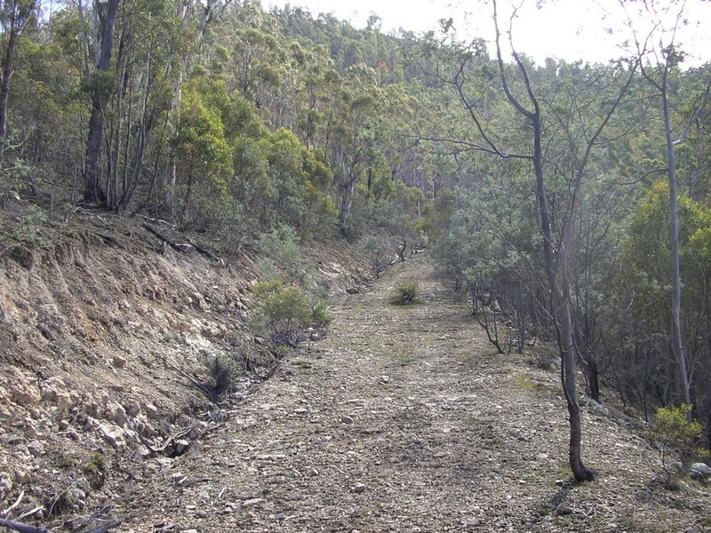 New Norfolk TAS 7140