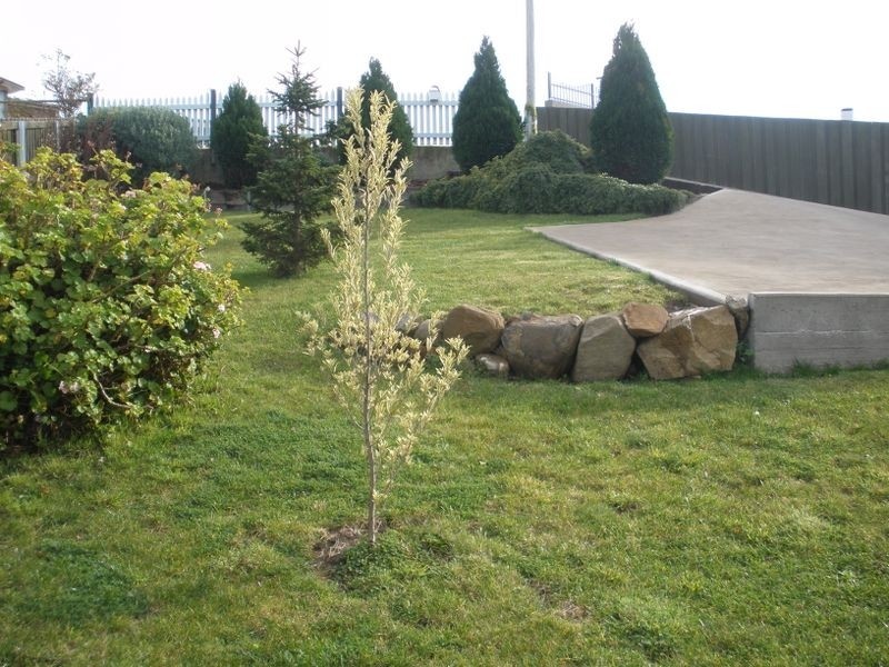 21 Mason Street, Claremont TAS 7011