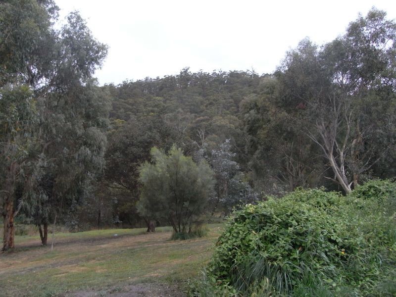 21 Wyre Forest Road, Molesworth TAS 7140