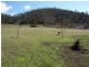 602 Boyer Road, Dromedary TAS 7030