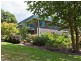 538 Collinsvale Road, Collinsvale TAS 7012