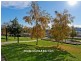 35 Driscoll Street, Rosetta TAS 7010