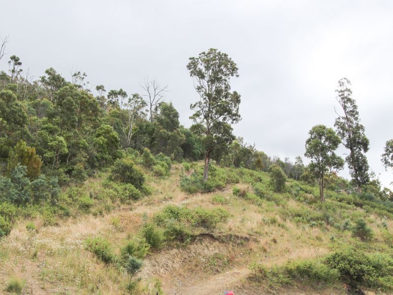 1 Redlands Drive, Rosetta TAS 7010