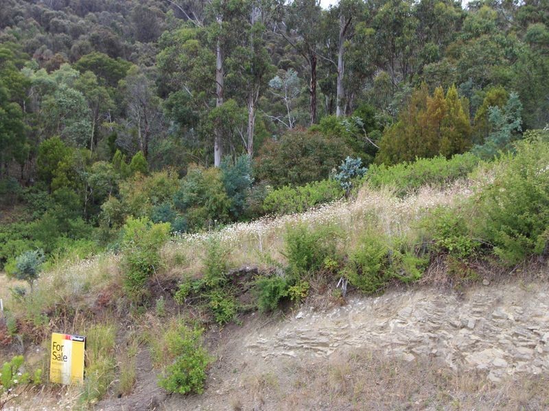 1 Redlands Drive, Rosetta TAS 7010