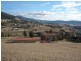 49 Seddon Street, Austins Ferry TAS 7011