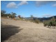 49 Seddon Street, Austins Ferry TAS 7011