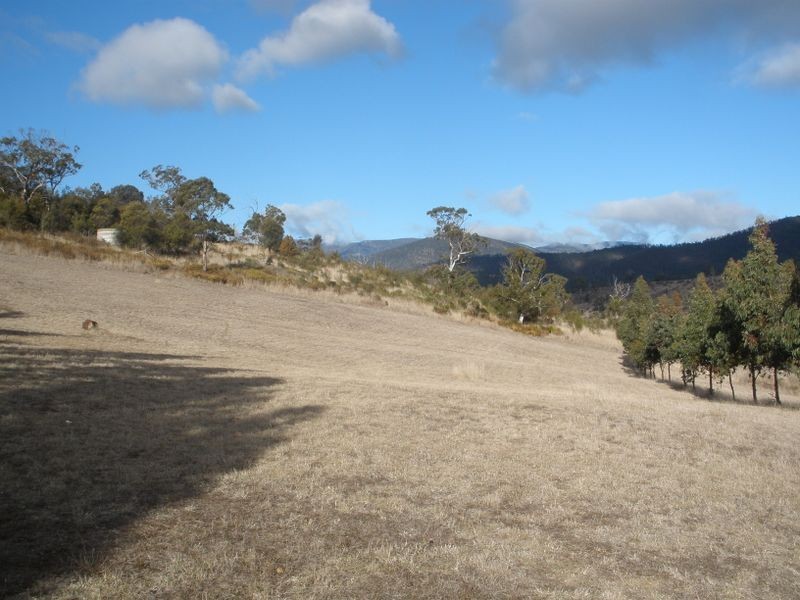 49 Seddon Street, Austins Ferry TAS 7011