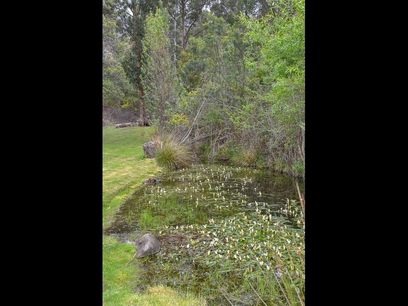 150 Pitcairn Street, Montrose TAS 7010