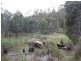 1147 Bluff Road, Elderslie TAS 7030