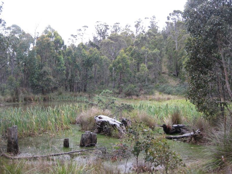 1147 Bluff Road, Elderslie TAS 7030