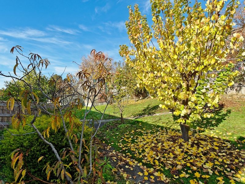 35 Driscoll Street, Rosetta TAS 7010