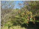 1 2 & 3 Dysart Drive, Dysart TAS 7030