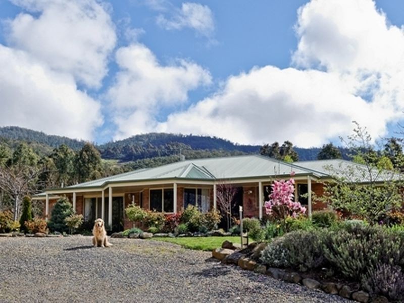 ‘Birchwood Lachlan Road, Lachlan TAS 7140