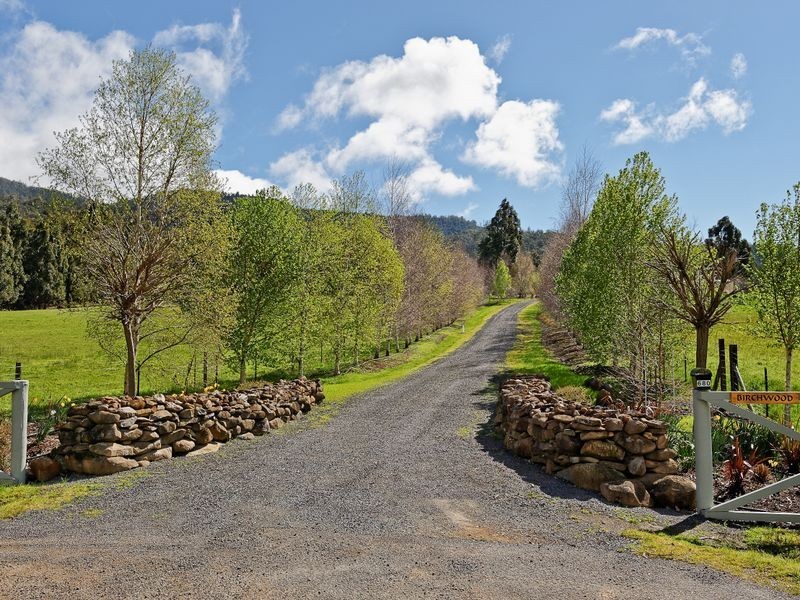 ‘Birchwood Lachlan Road, Lachlan TAS 7140