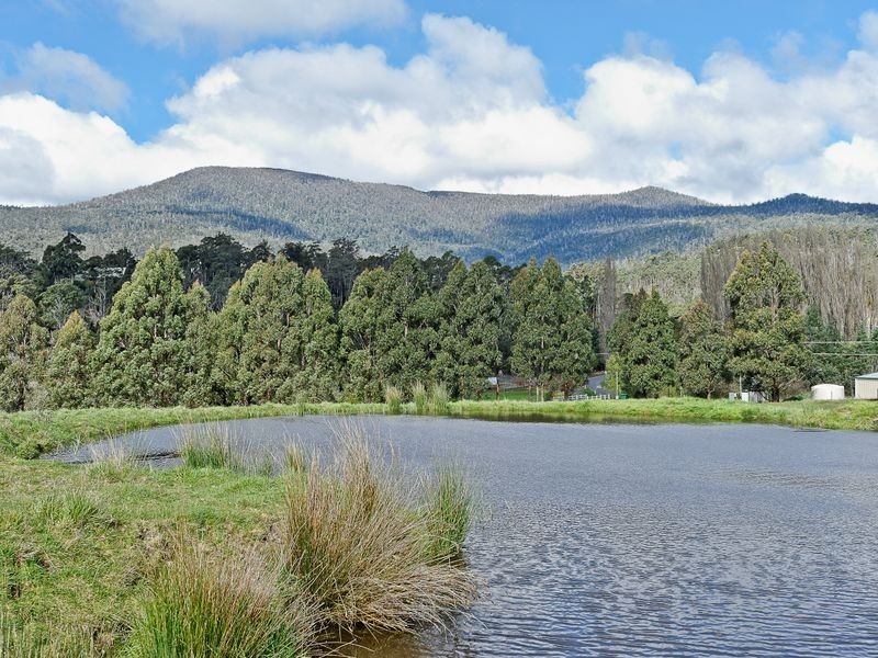 ‘Birchwood Lachlan Road, Lachlan TAS 7140