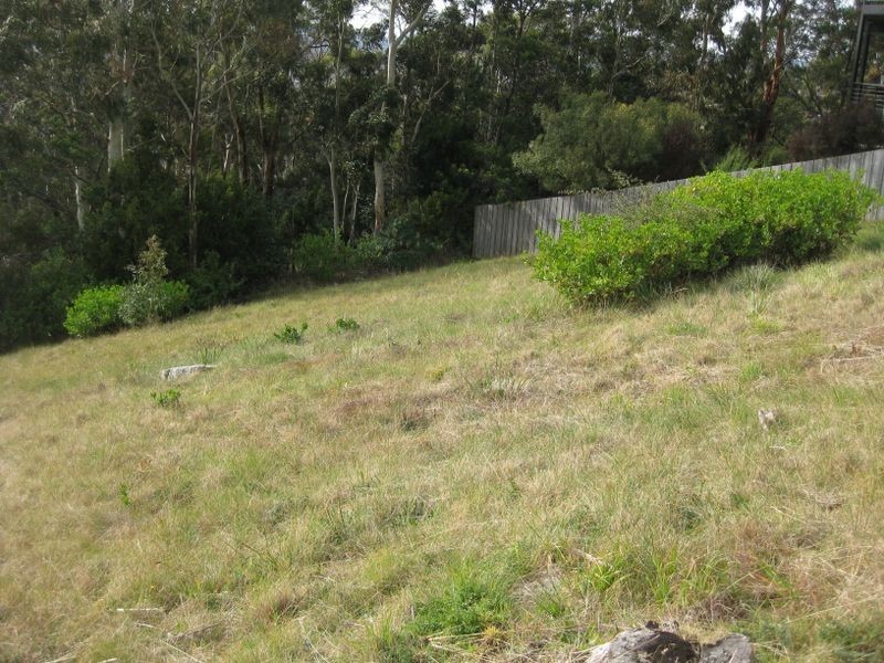 35 Purdie Street, West Moonah TAS 7009
