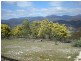 Cockerills Road, New Norfolk TAS 7140