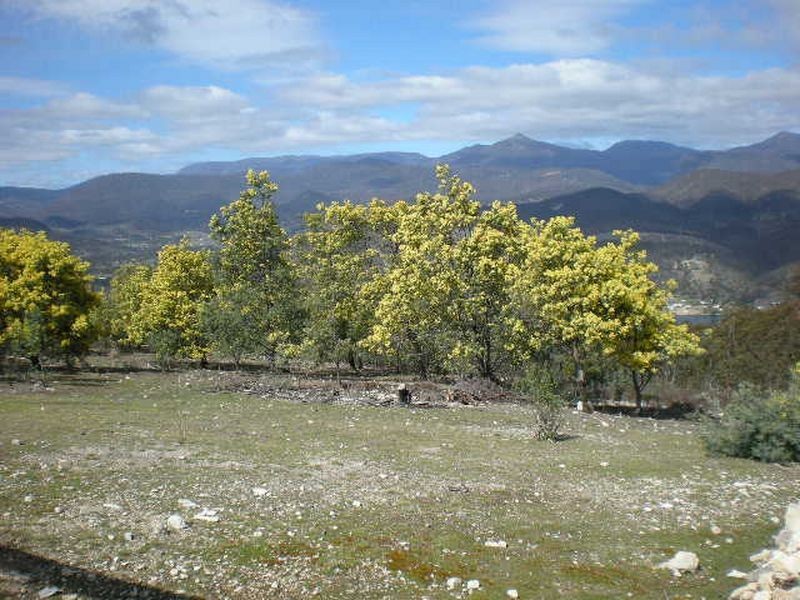 Cockerills Road, New Norfolk TAS 7140
