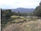 527 Lower Swamp Road, Lachlan TAS 7140