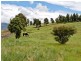 213 Baskerville Road, Old Beach TAS 7017