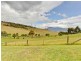 213 Baskerville Road, Old Beach TAS 7017